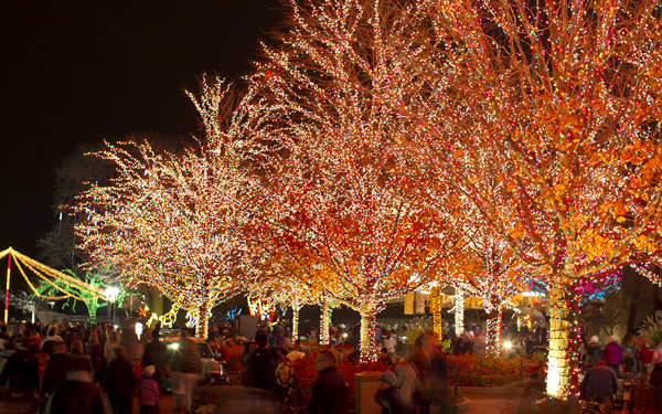 Lincoln Park Zoo Lights Festival