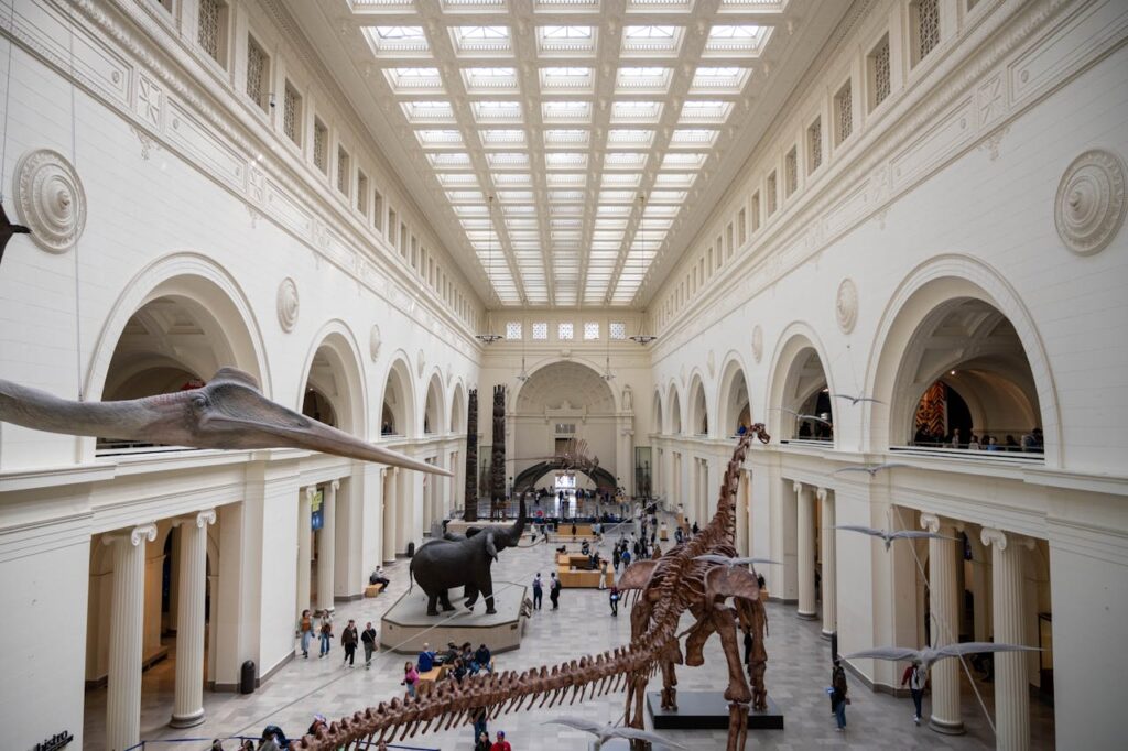 Field Museum of Chicago