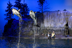 Shedd Aquarium Chicago