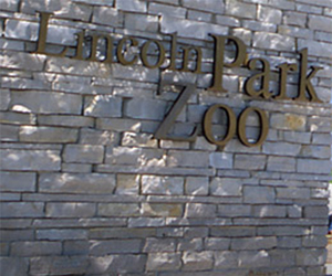 Lincoln Park Zoo Chicago