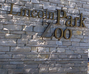 Lincoln Park Zoo Chicago - Go Visit Chicago
