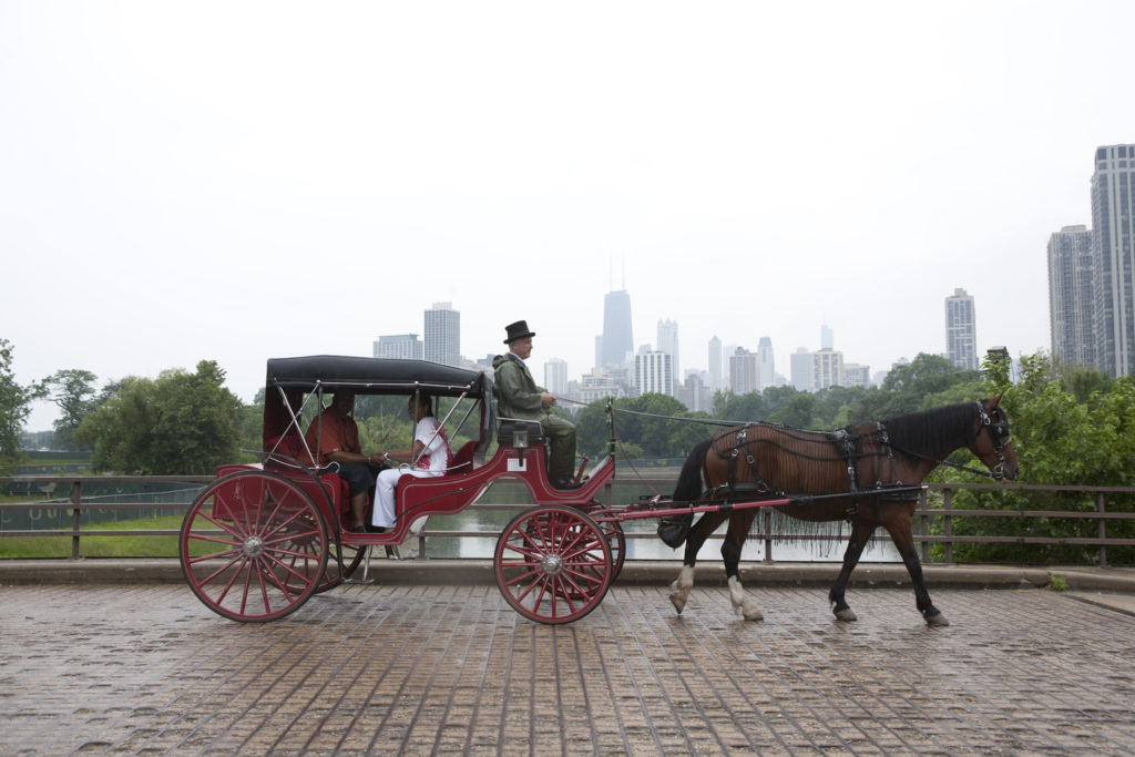 Horse Carriage Ride on Michigan Avenue in Chicago Downtown