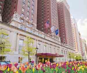 Hilton Chicago Michigan Ave Hotel