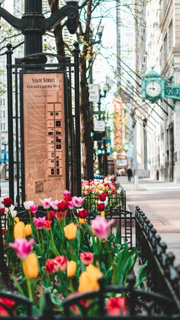 Chicago in Spring Season