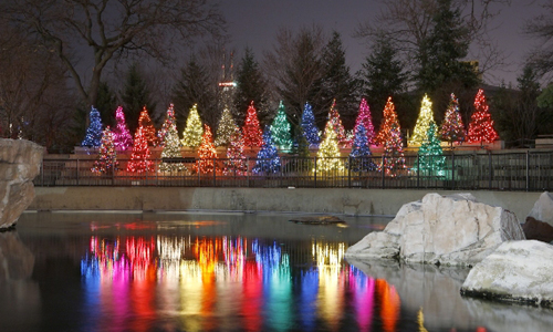 Lincoln Park Zoo Lights Chicago