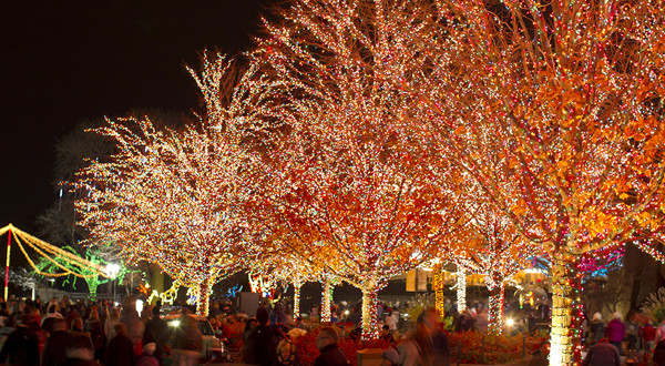 Lincoln Park Zoo Lights Festival