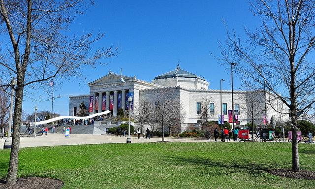 Shedd Aquarium Chicago