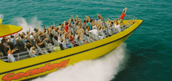 Lake Michigan Speedboat Ride