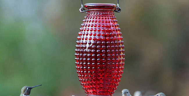 Perky-Pet Red Hobnail Vintage Glass Hummingbird Feeder