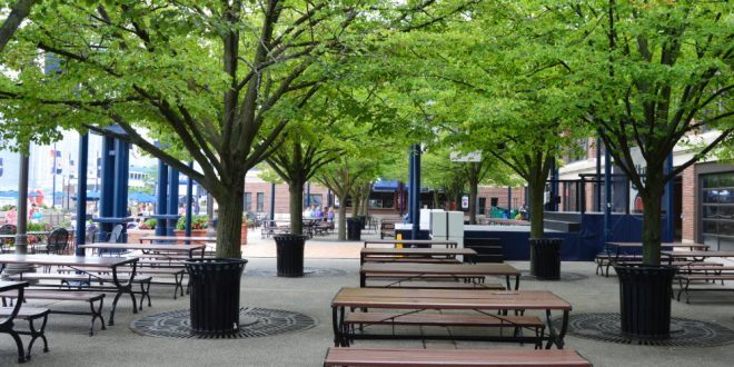 Navy Pier Beer Garden Summer Hangout Place