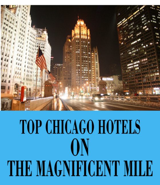 Top Chicago Hotels on the Magnificent Mile
