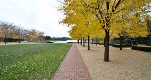 Chicago Botanic Garden Things to do in Chicago in Fall