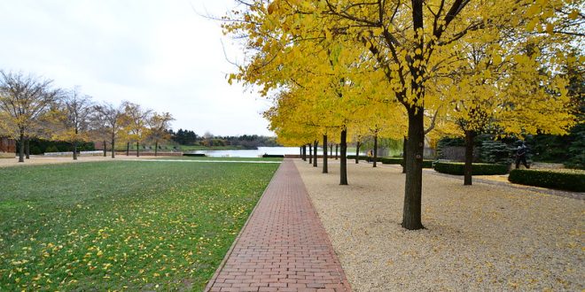 Chicago Botanic Garden Things to do in Chicago in Fall