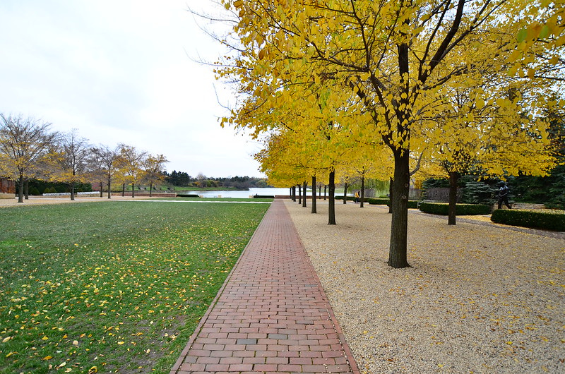 Chicago Botanic Garden Things to do in Chicago in Fall