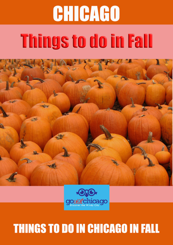 Things to do in Chicago in Fall