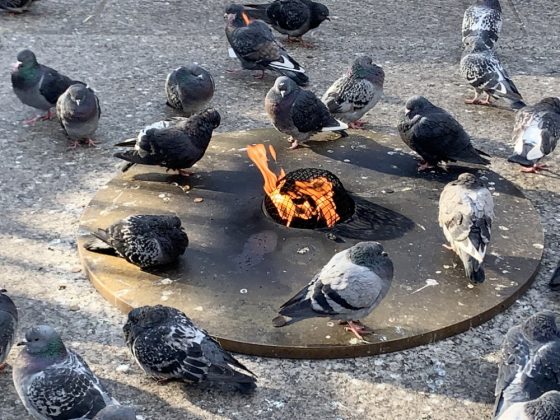Pigeon Fireplace at Christkindlmarket Chicago