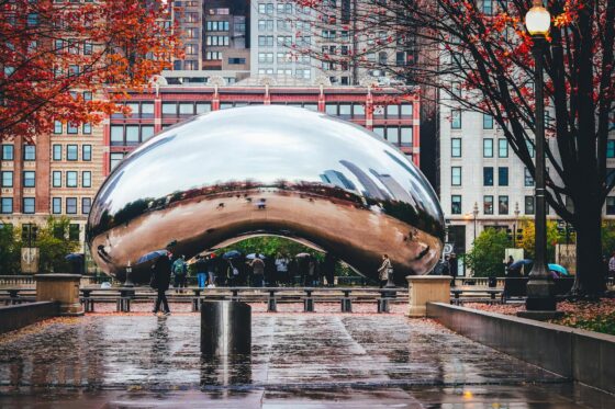 Best Fall Things To Do in Chicago: Festivals, Food, and Seasonal Fun